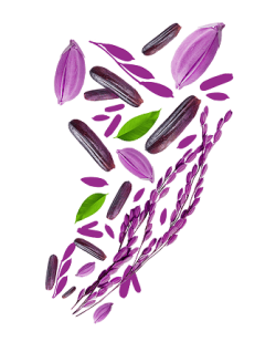 shutterstock_1732828691 1 (1)