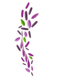 shutterstock_1732828691 2